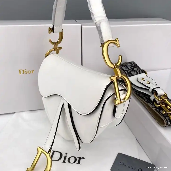 Cheap Smooth Bag Dior Saddle White Calfskin 0612 Luxury